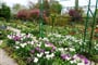 Francie - Normandie - Giverny, Monetovy zahrady Clos Normand