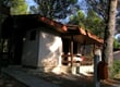 Thumbnail (10)