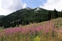 Chorvatsko - pohoří Velebit