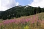Chorvatsko - pohoří Velebit