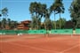 tenis