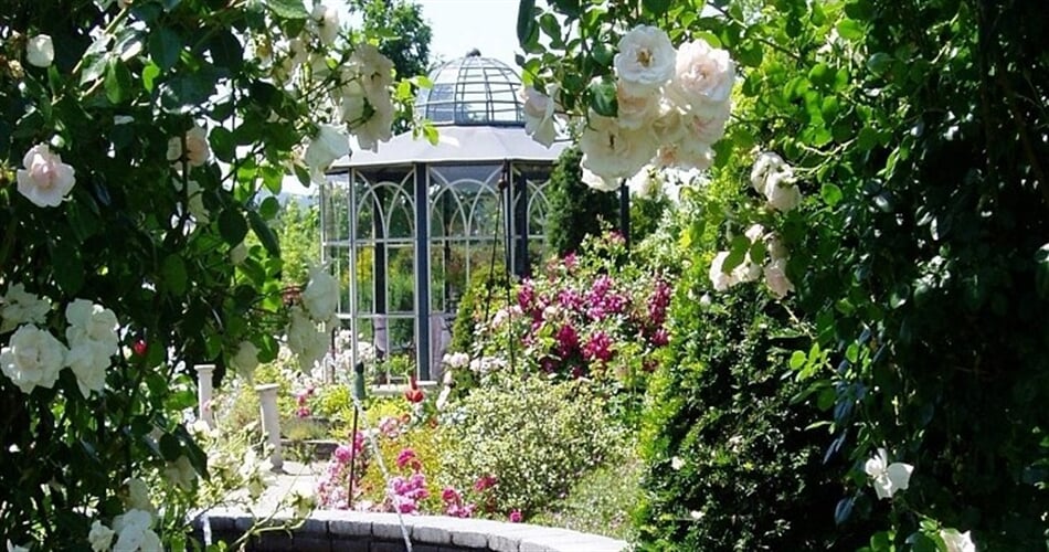 Rakousko - Kittenberské zahrady - Růžová zahrada