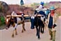 Madagascar - volský povoz tažený zebu