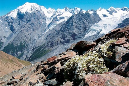 Dolomity se slevovou kartou - Adamello, Brenta, Presanella