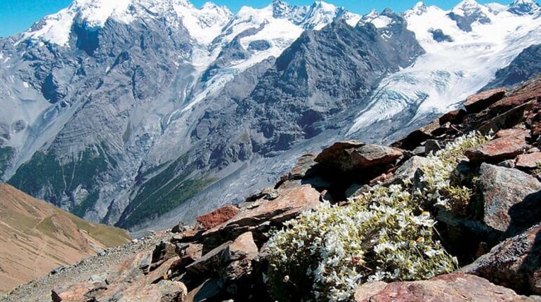 Italie - Passo Stelvio 1