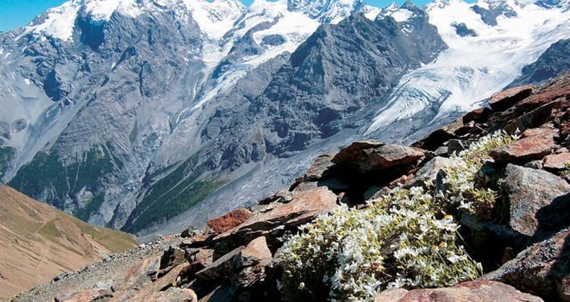 Italie - Passo Stelvio 1