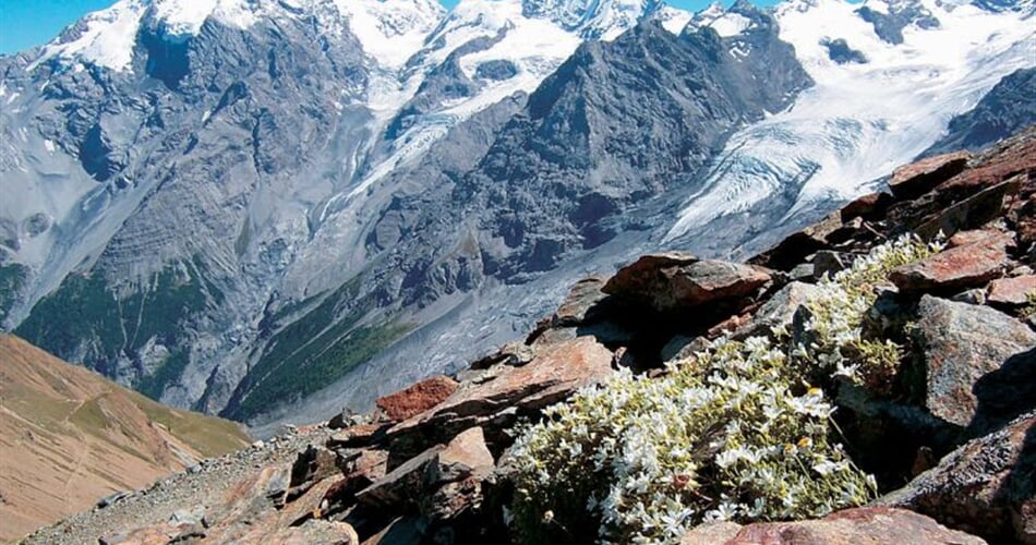Italie - Passo Stelvio 1