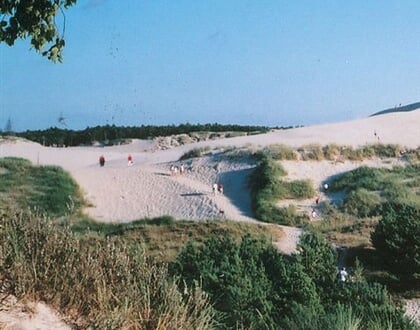 Polsko duna