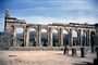 Volubilis 2