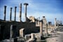 Volubilis 6