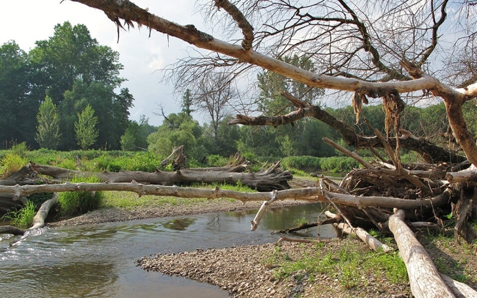 Foto - Morava - 5 denní z Postřelmova do Olomouce