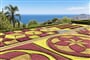 Madeira (7)