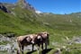 tura - parpaner - rothorn - arosa - 13