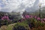 Furnas