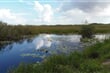NP Everglades - Anhinga Trail