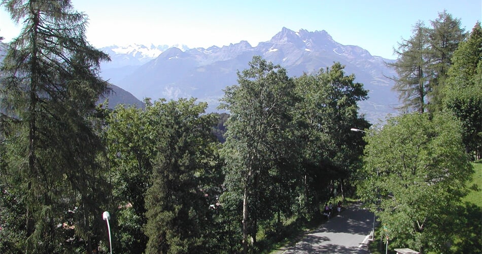 Švýcarsko Mont Blanc 2009 002