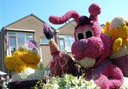 Benelux - květinové korzo