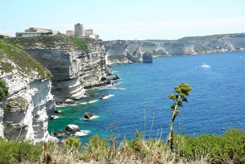 Bonifacio-22