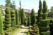 botanicka-zahrada-19