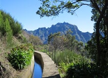 Madeira - exotický ráj na dosah, květinový ostrov věčného jara