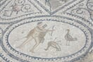 volubilis-10