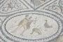 volubilis-10