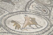 volubilis-11