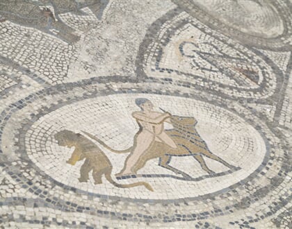volubilis-11