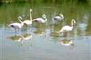 Camargue-06