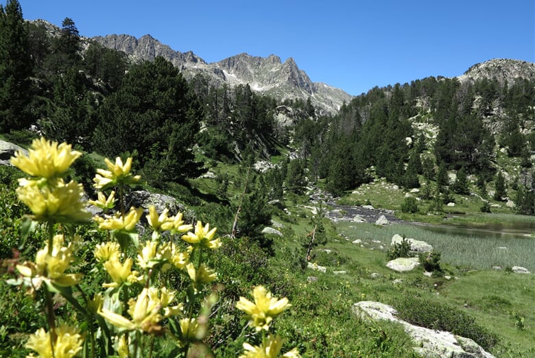 np-st-maurici-21