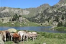 np-st-maurici-34