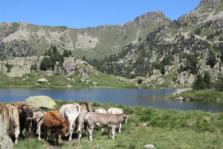 Národní parky Andorry a Pyrenejí - zpět letecky