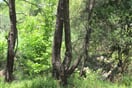 udoli-motylu-04