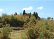 etiopie_006