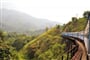 Srí Lanka - jízda vlakem mezi čajovníky