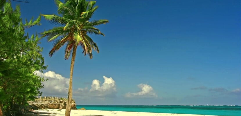 Bridgetown (4)