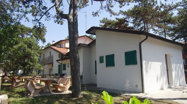 Pineta 2