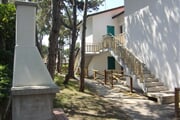 Pineta 4