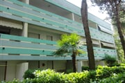 CIMG8735