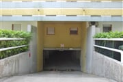 CIMG8739