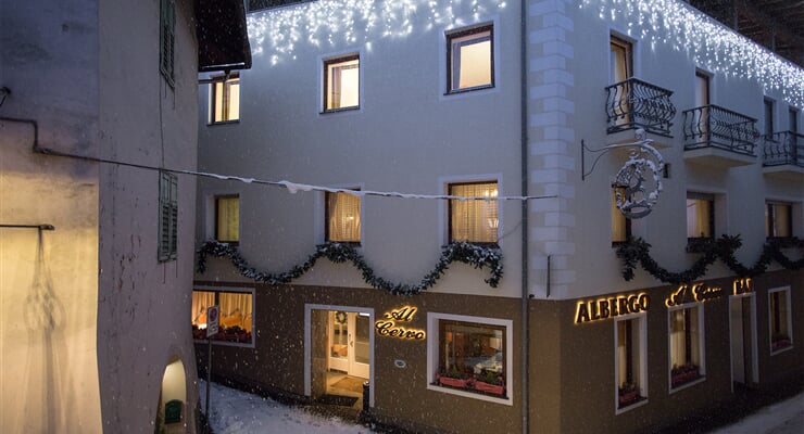 Hotel Al Cervo, Tesero  (19)