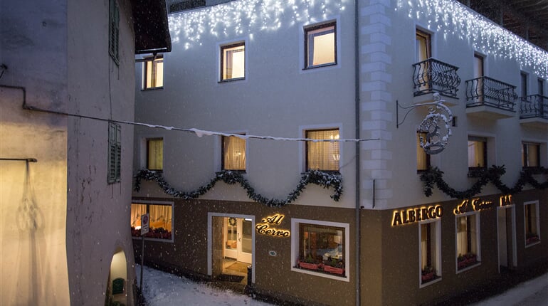Hotel Al Cervo, Tesero  (19)
