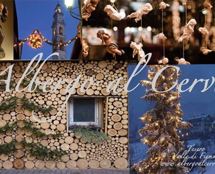 Hotel Al Cervo, Tesero  (40)