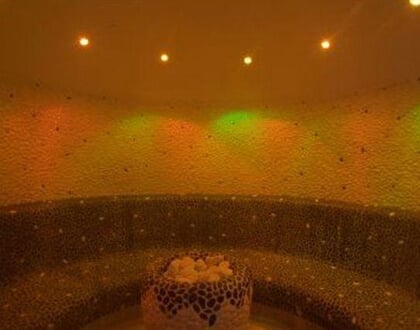 Hotel Capriolo, Livigno  (10)