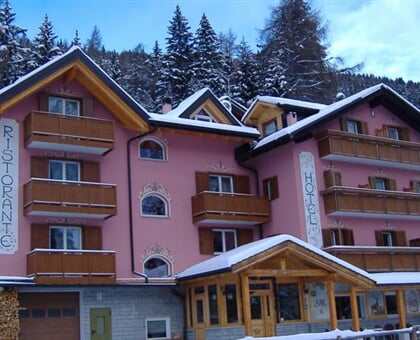 Hotel La Roccia, Passo Tonale  (9)