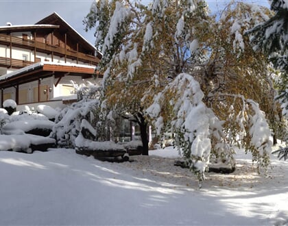 Hotel Latemar, Castello di Fiemme  (10)