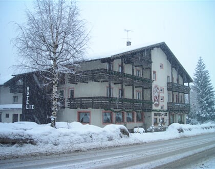 Hotel Liz, Predazzo (12)