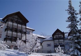 Rezidence Casa Metz - Santa Cristina
