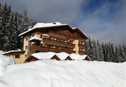Rezidence Panorama *** - Falcade