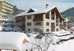 Rezidence Stefenine *** - Molveno